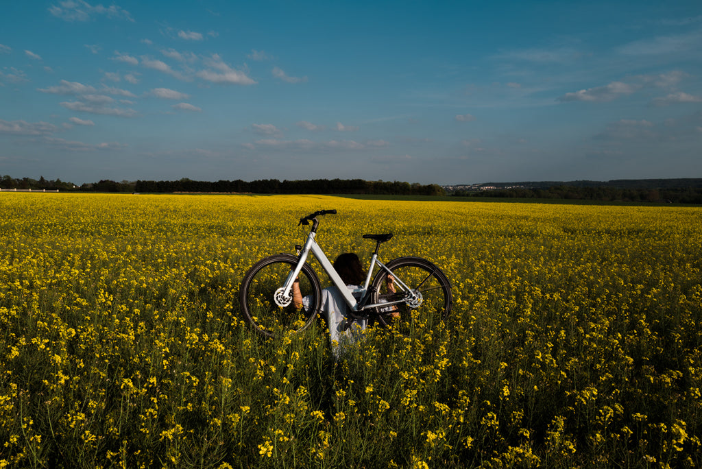 Battery Range Guide: Understanding Electric Bike Range & Batteries
