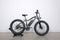 Rad Power Bikes RadRover 5