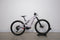 Specialized Turbo Levo