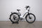 Lectric XPress 750
