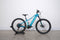 Trek Powerfly 5