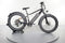 Rad Power Bikes RadRover 6 Plus