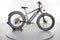 Rad Power Bikes RadRover 6 Plus