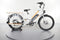 Rad Power Bikes RadWagon