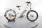Rad Power Bikes RadWagon 3