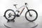 Niner WFO e9