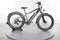 Rad Power Bikes RadRover 6 Plus