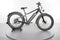 Rad Power Bikes RadRover 6 Plus
