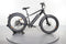 Rad Power Bikes RadRover 6 Plus