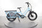 Rad Power Bikes RadWagon 5
