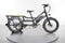 Rad Power Bikes RadWagon 4