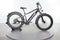 Rad Power Bikes RadRover 6 Plus