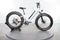 Rad Power Bikes RadRover 6 Plus