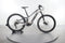 Trek Powerfly 4