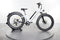 Rad Power Bikes RadRover 6 Plus