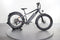 Rad Power Bikes RadRover 6 Plus