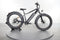 Rad Power Bikes RadRover 6 Plus
