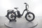 Rad Power Bikes RadExpand 5