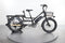 Rad Power Bikes RadWagon 4