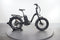 Rad Power Bikes RadExpand 5