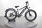 Rad Power Bikes RadRover 6 Plus