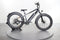 Rad Power Bikes RadRover 6 Plus