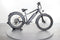 Rad Power Bikes RadRover 6 Plus