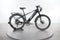 Lectric XPress 750