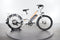 Rad Power Bikes RadWagon 3