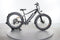 Rad Power Bikes RadRover 6 Plus