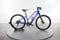 Trek Dual Sport+ 2