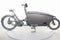 Urban Arrow Family Cargo