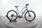 Trek Dual Sport+ 2