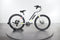 Aventon Pace 350.2