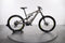 Specialized Kenevo Comp