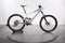 Specialized Turbo Kenevo Sl Expert