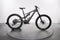 Specialized Turbo Kenevo Expert