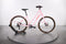 LeMond Dutch
