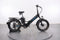 Lectric XPremium