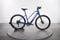 Trek Dual Sport+ 2
