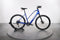Trek Dual Sport+ 2