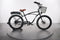 Pedego Interceptor