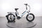 Lectric XPremium