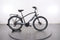 Electra Townie Path Go! 10D