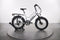 Pedego Element