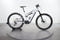 Cannondale Moterra Neo 3