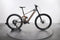 Mondraker Dune RR