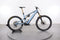 Specialized S-Works Turbo Levo 4