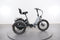 Lectric XP Trike