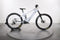 Orbea Wild H20